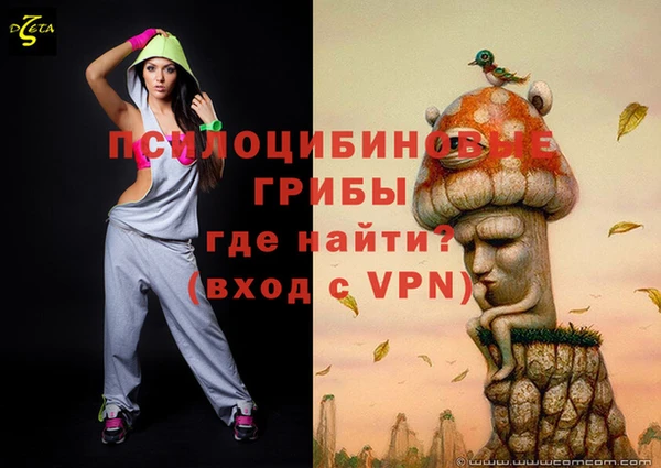 ешки Арсеньев